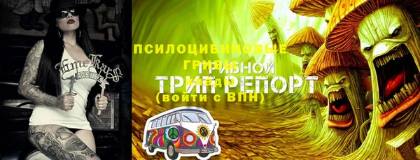 MESCALINE Верея