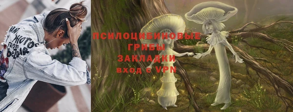 твердый Верхний Тагил