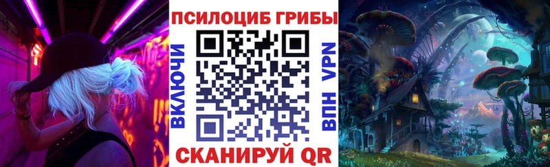 Псилоцибиновые грибы Psilocybe  Купить закладки  Вяземский 